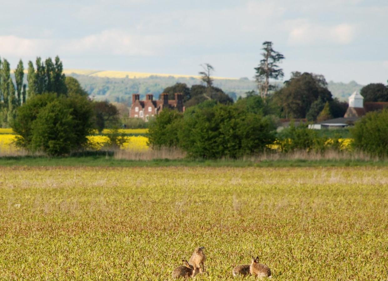 Barnham Court Farm Villa Bagian luar foto